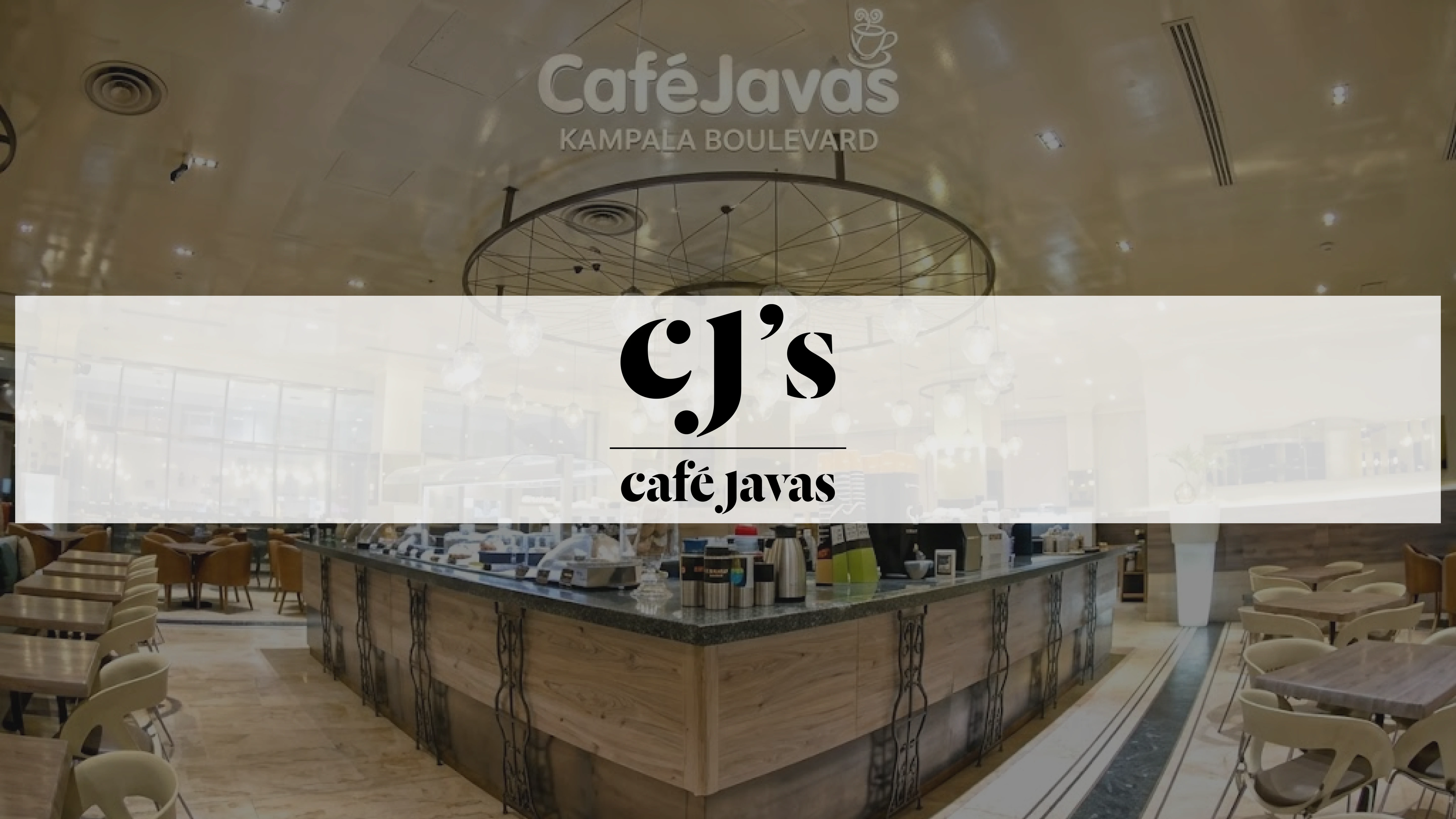 Retailer Loyalty Program Case Study