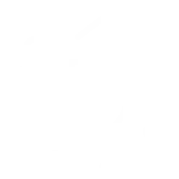 businessdevelopmentexecutive